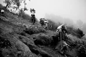coltan-judithprat14.jpg