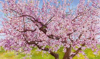 ribes2.gif