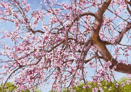 ribes7.gif