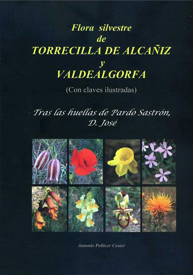 TORRECILLA6.jpg