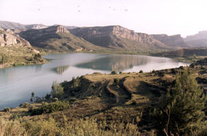 Cola-del-pantano.jpg