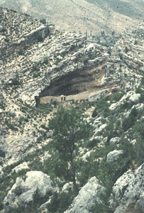 Corral-de-ganado.jpg